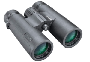Best budget safari binoculars