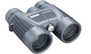 Bushnell 10x42 Waterproof Roof Prism Binoculars