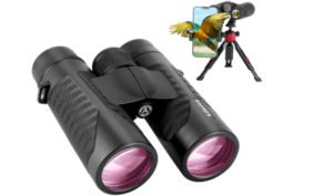 Best Budget Safari Binoculars