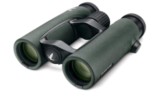 Best Binoculars for African Safari