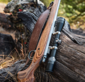 Best Rimfire Scopes for .22LR