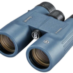 Best budget birding binoculars