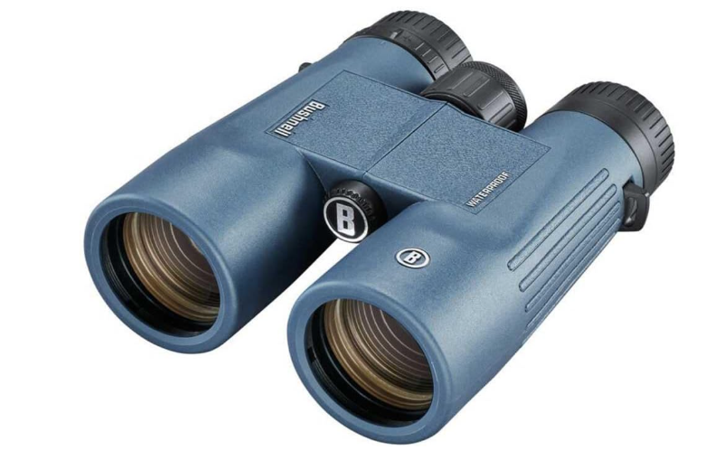 Best budget birding binoculars